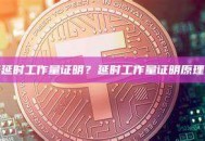 什么是延时工作量证明？延时工作量证明原理及应用