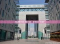 5大迹象识别区块链老鼠仓，避免成为“接盘侠”