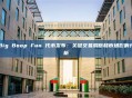 Big Boop Fun 代币发布：关键交易洞察和市场影响分析