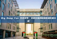 Big Boop Fun 代币发布：关键交易洞察和市场影响分析