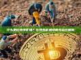 什么是比特币矿场？比特币矿场功能与运行解析