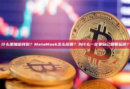 什么是加密钱包？MetaMask怎么设置？为什么一定要自己保管私钥？