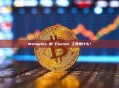 Metaplex 的 Fusion 工具是什么？