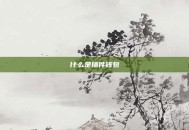 什么是插件钱包