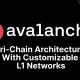 Avalanche 是什么：从子网到主权 Layer 1