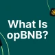 什么是 opBNB？BNB 的 Optimistic Layer 2 Rollup
