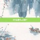 什么是Sui链？