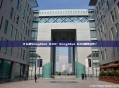 什么是SlingShot DAO？SlingShot DAO如何运作？