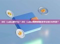 0G Labs是什么？0G Labs如何创新去中心化AI开发？