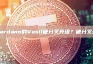 什么是Cardano的Vasil硬分叉升级？硬分叉升级解析