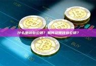 什么是钱包公钥？如何获得钱包公钥？