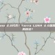 什么是Luna 2.0代币？Terra LUNA 2.0是否是一项好的投资？