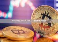 BSC钱包/BNB Chain创建/导入教程