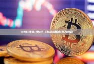 BSC钱包/BNB Chain创建/导入教程