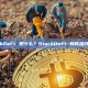 StarkDeFi 是什么？StarkDeFi 有何独特之处？