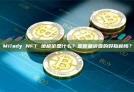 Milady NFT 地板价是什么？是衡量价值的好指标吗？