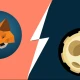 如何将 Reddit MOON 添加到 MetaMask