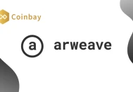 什么是 AR 代币？数据存储网络 Arweave