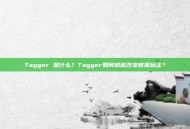Tagger 是什么？Tagger如何彻底改变数据标注？