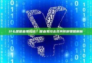 什么是吸血鬼攻击？吸血鬼攻击及其防御策略解析