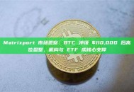 Matrixport 市场观察：BTC 冲顶 $110,000 后高位盘整，机构与 ETF 成核心支撑