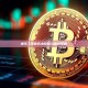 撸毛工作室成本控制与盈利策略