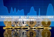 Avalanche9000 是什么？Avalanche9000如何改变区块链的扩展性？