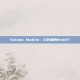 Solana Mobile：口袋里的Web3？