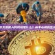 剥头皮交易最大的风险是什么？新手必读的生存指南