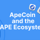 什么是 ApeCoin (APE) 和 BAYC 生态系统