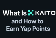 Kaito 是什么以及如何获得 Yap 积分