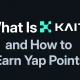 Kaito 是什么以及如何获得 Yap 积分