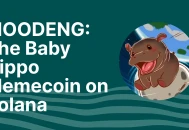 MOODENG 是什么？Solana 上的“小河马”Memecoin