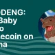MOODENG 是什么？Solana 上的“小河马”Memecoin