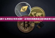 是什么导致比特币涨跌？比特币涨跌原因及影响因素分析