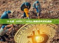 什么是 HODL？HODL策略及其文化解析