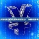 比特币因关税消息而剧烈波动，市场涨跌不定