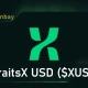 什么是 XUSD 代币？币安 StraitsX 上的全新稳定币