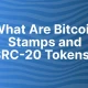 比特币上的 SRC-20 代币和邮票是什么？