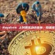 无法在 Raydium 上创建流动资金池，总是提示我缺