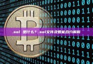 .sol 是什么？.sol文件及智能合约解析