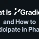 什么是Gradient Network以及如何免费参与第一阶段