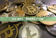ICO 是什么？如何避免ICO 诈骗？