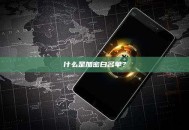 什么是加密白名单？