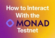 与 Monad 测试网交互以获得潜在空投的指南