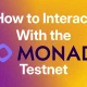 与 Monad 测试网交互以获得潜在空投的指南
