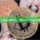 Smart Layer是什么？Smart Layer如何工作？