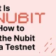 Nubit 是什么以及如何参与 Nubit Alpha 测试网