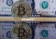 稀有聪是什么？