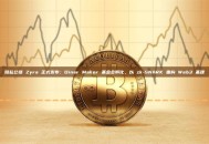 隐私公链 Zyra 正式发布：Dinar Maker 基金会孵化，以 zk-SNARK 重构 Web3 基建